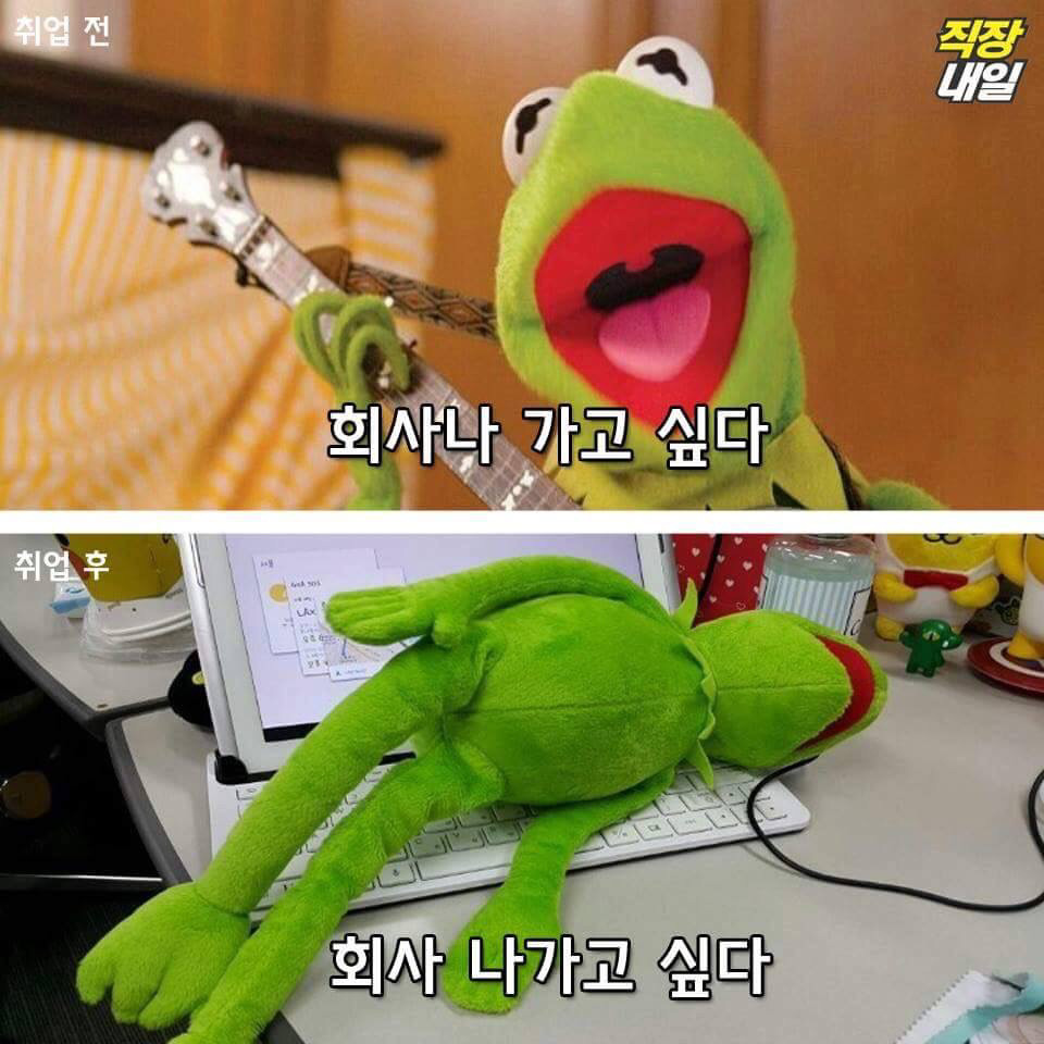 직장인이 되기 전과 후.jpg | 인스티즈