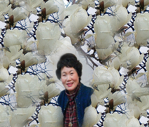 부선 이미지
