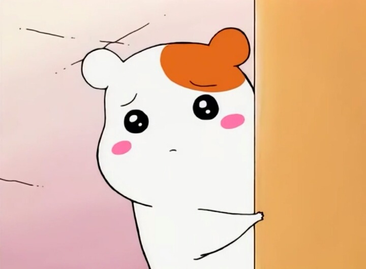 19이미지 원탑 아이돌.jpg | 인스티즈