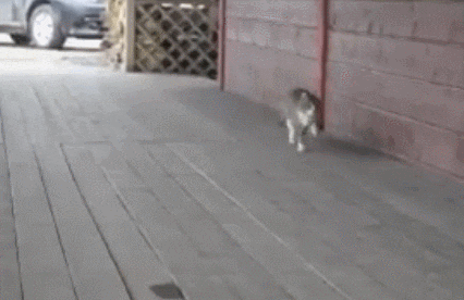 성장배경이 중요한 이유 | 인스티즈