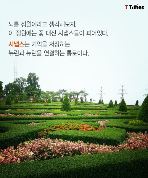 나쁜 기억들을 가지치기 하는 법 | 인스티즈