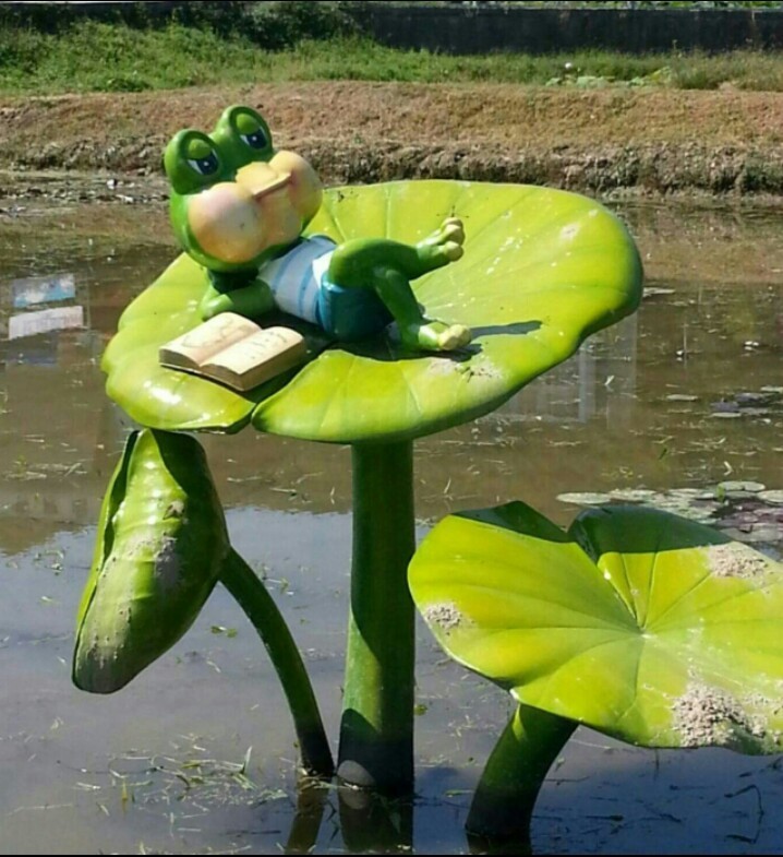 도린 이미지