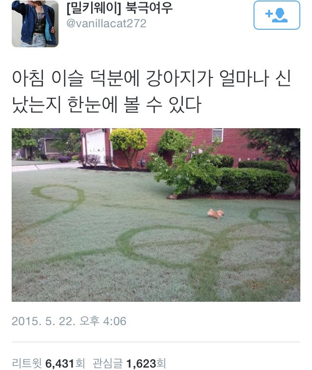 개신남 이미지