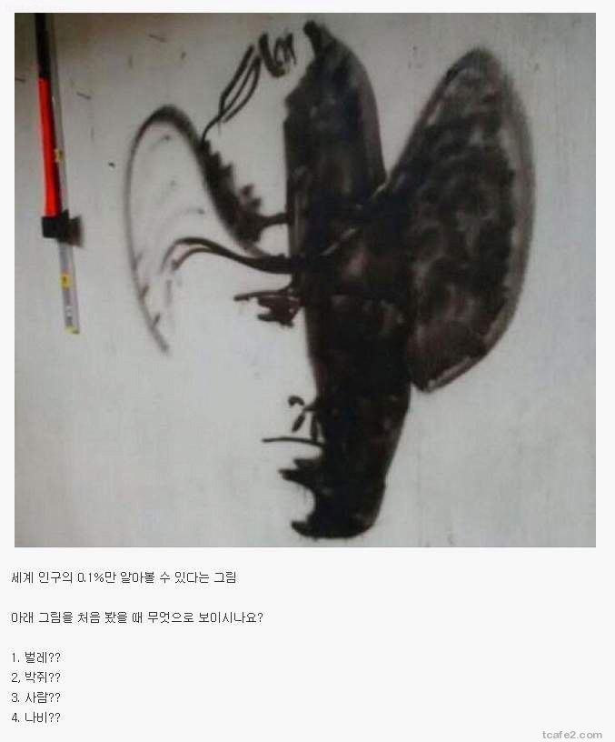 0.1％ 만 볼수 있는 사진? | 인스티즈