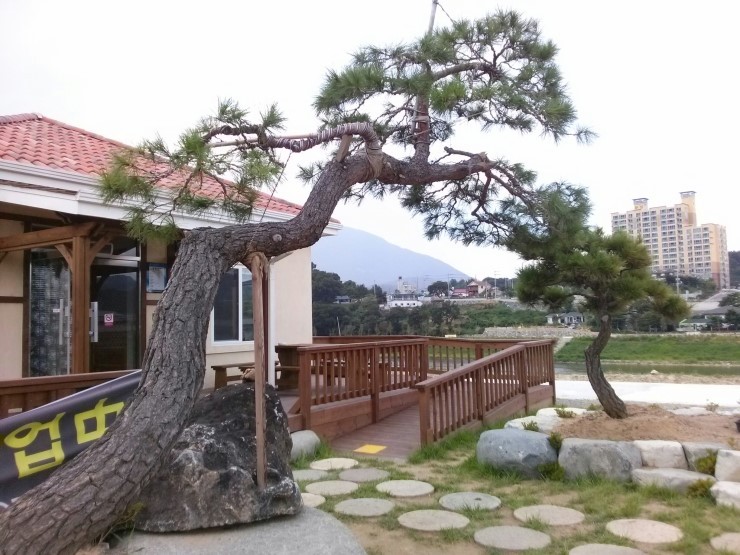 강변식당 이미지