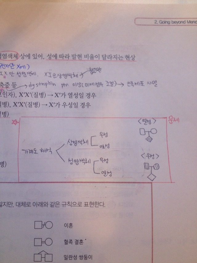 우성미트 이미지