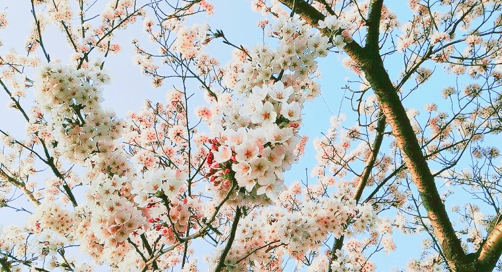 예뻐예 이미지