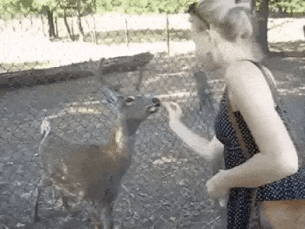 예의바르게 인사 하는 이유 ㄷㄷㄷㄷㄷㄷㄷㄷㄷㄷㄷㄷㄷㄷ.gif | 인스티즈