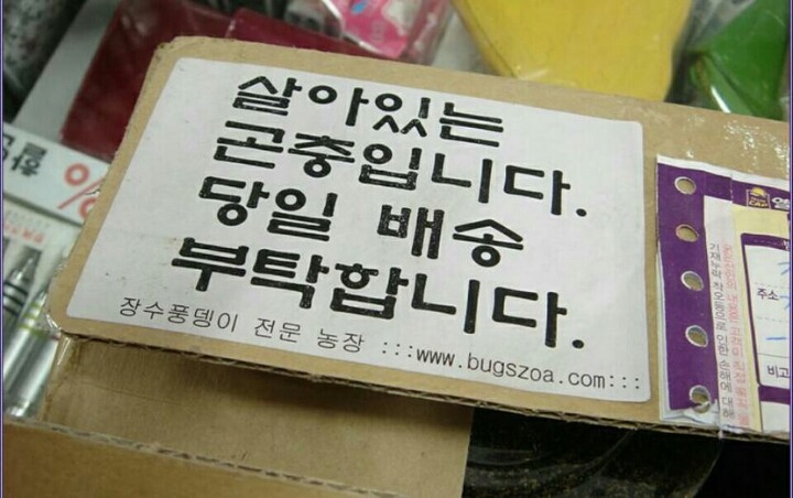택배 날아간 사건 레전드 | 인스티즈
