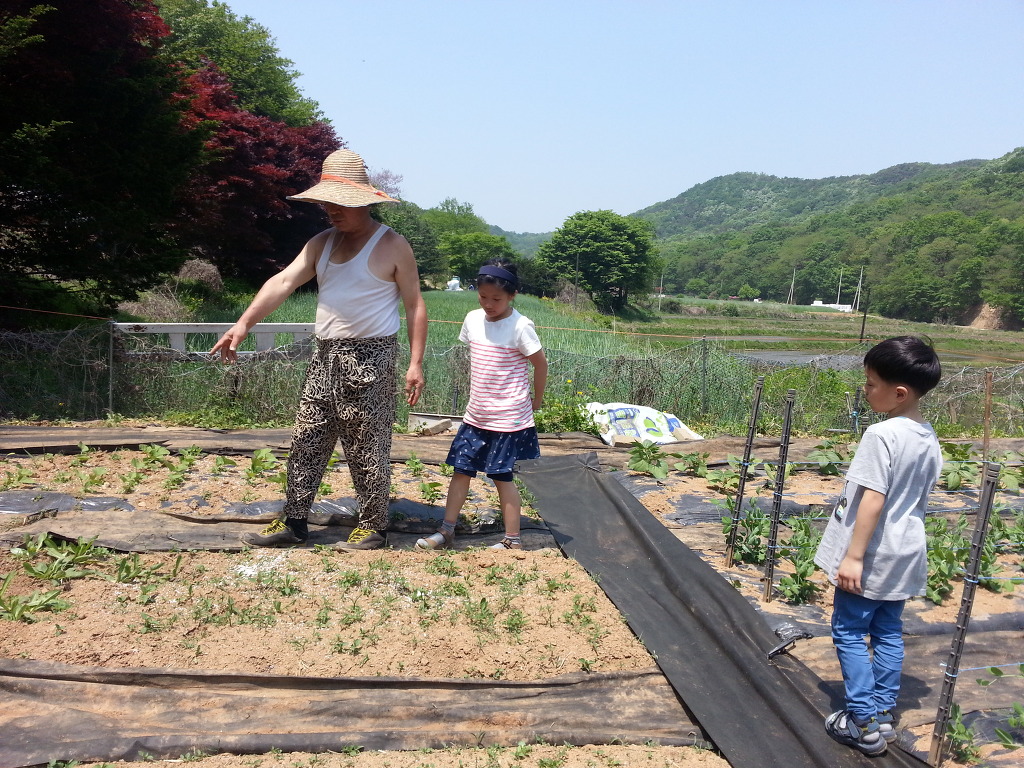 (주)호성 이미지