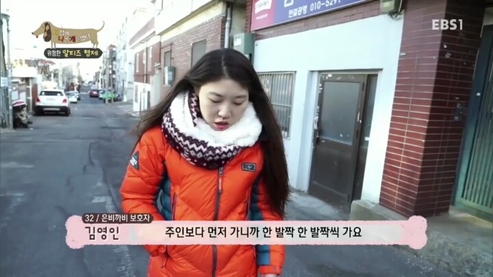 [세나개] 공격적인 반려견이 되는 이유 1부.jpg | 인스티즈