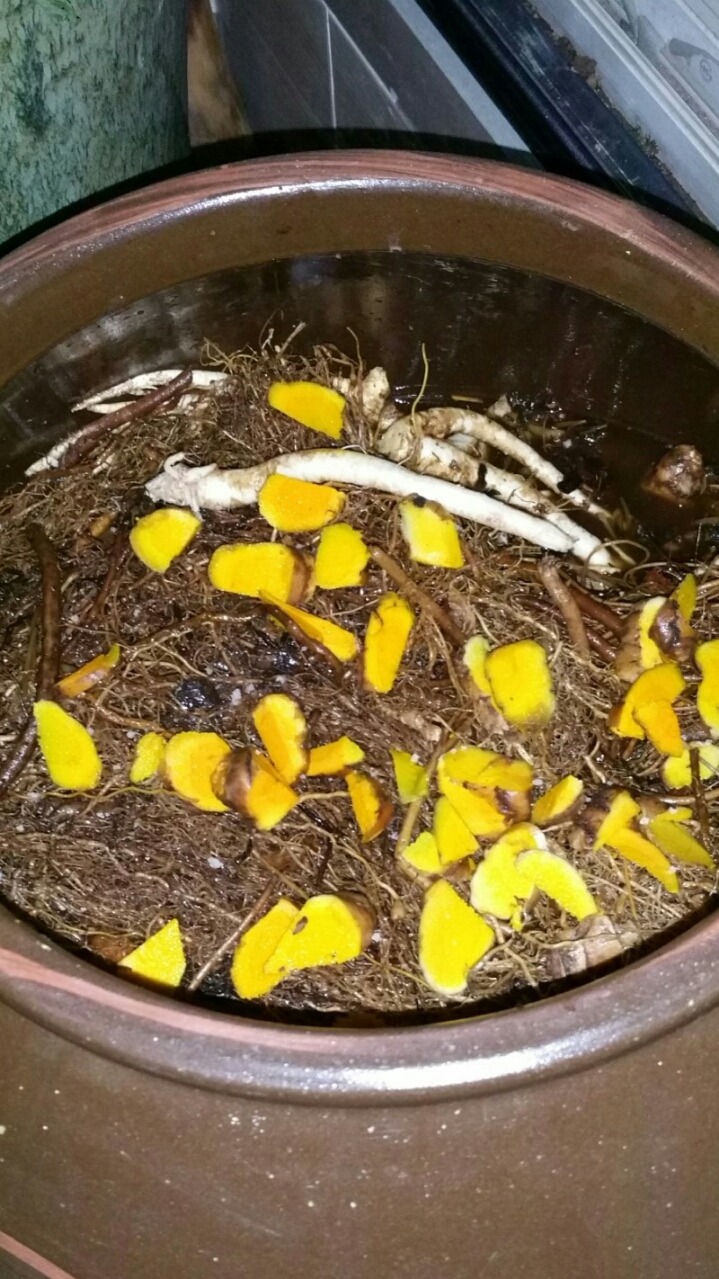 우리산약초 이미지