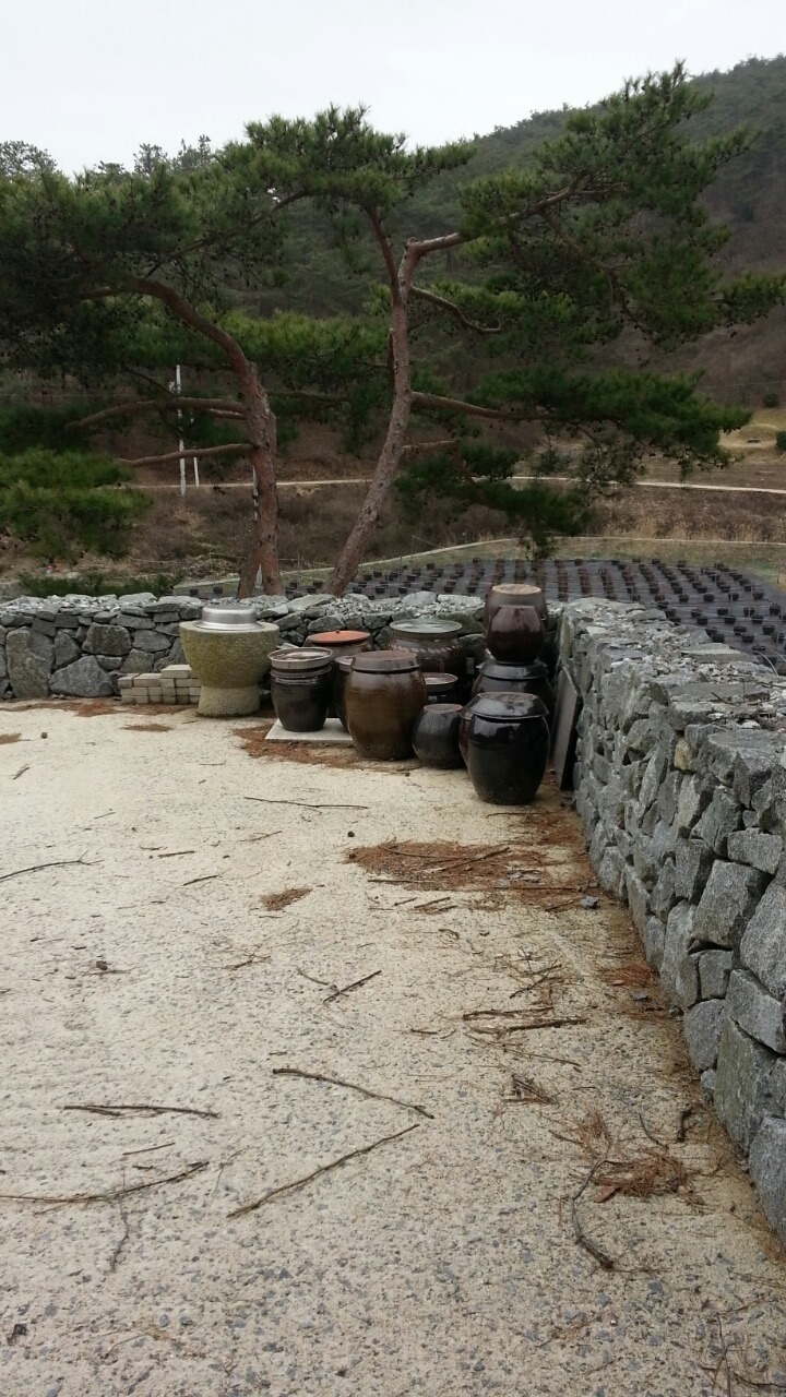 장독대 이미지