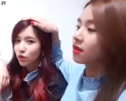 트와이스 짤 털이.... | 인스티즈