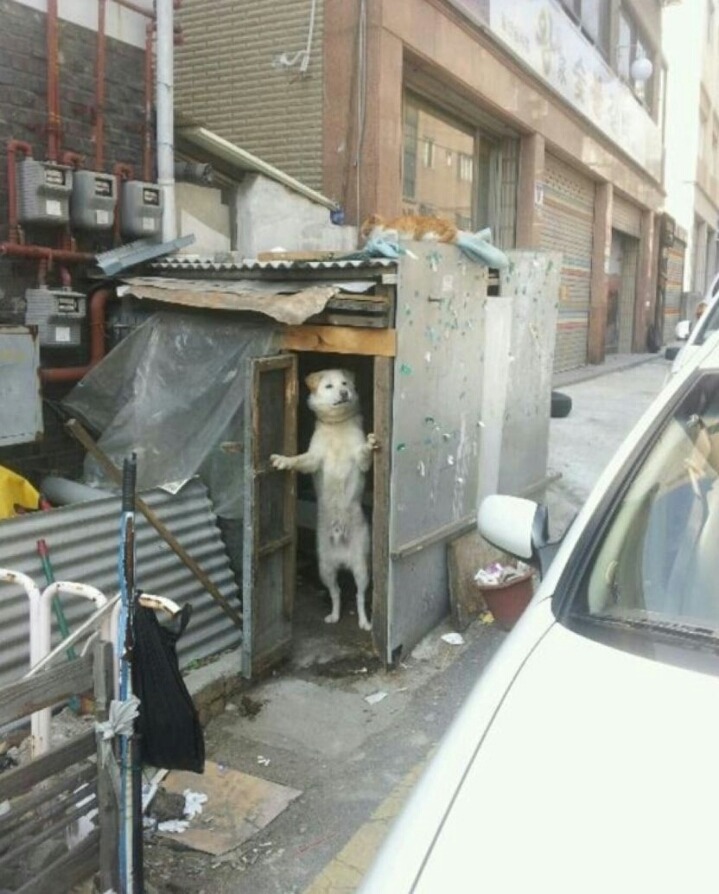 아저씨!! 여기에 차대지 말라고....... | 인스티즈