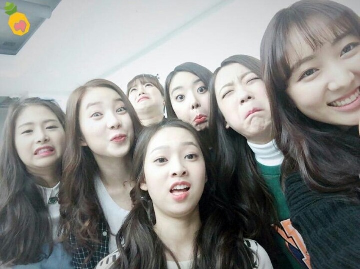 채경이랑 에이프릴 같이 찍은 사진 모음 | 인스티즈