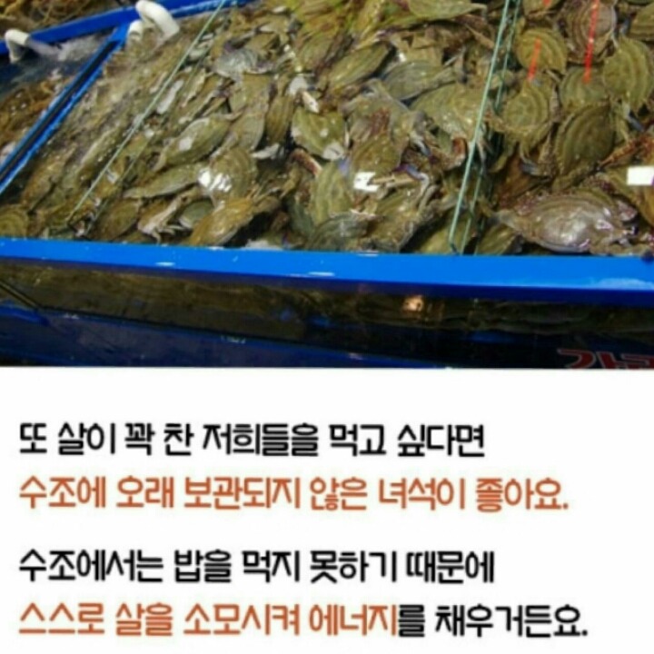 간장게장 먹는방법 | 인스티즈