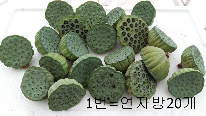 자방 이미지