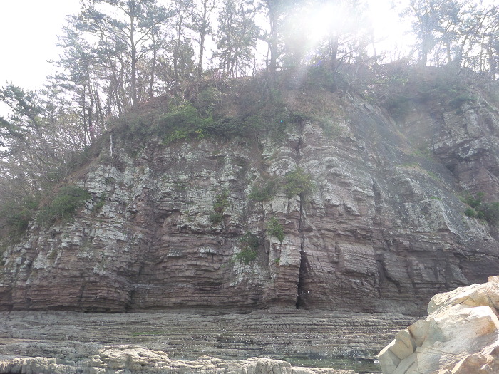 2372F835552891700BA79B