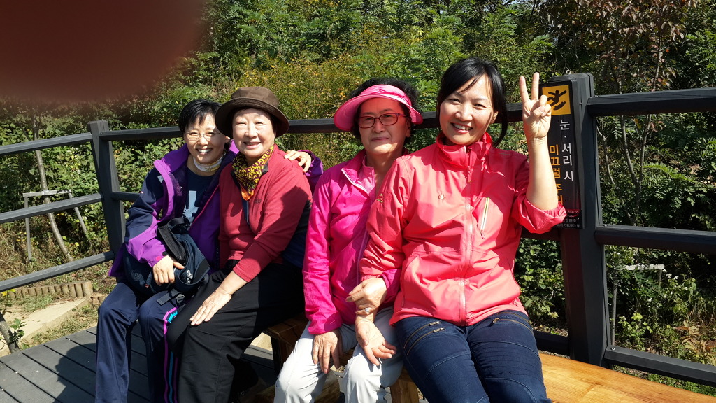 장미단식 이미지