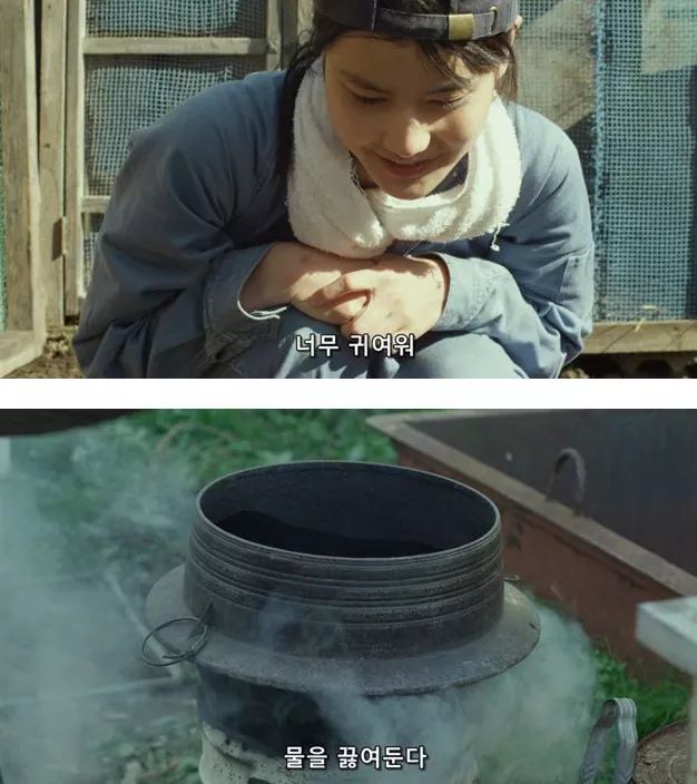 시골오리 이미지