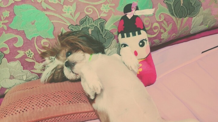 또오옥 이미지