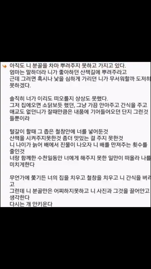 내가 다시는 애완 동물을 키우지 않는 이유 | 인스티즈