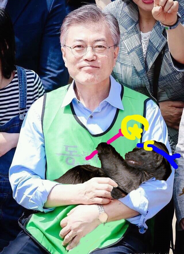 오늘도 한마리의 오소리가되어..... | 인스티즈