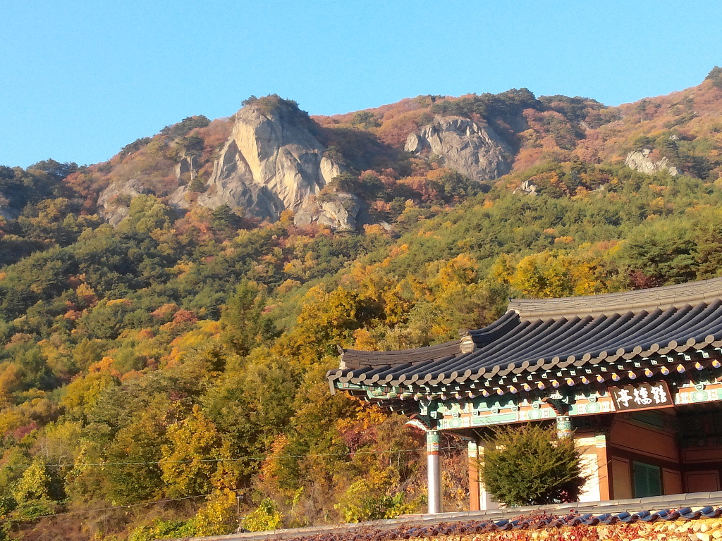 멀티상사 이미지