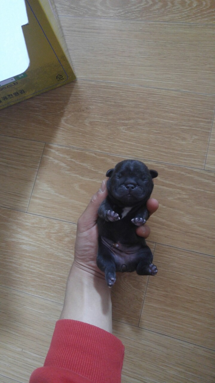 줄리 이미지