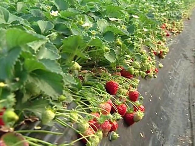 [거침없이하이킥] 봄바람 난 문희 | 인스티즈