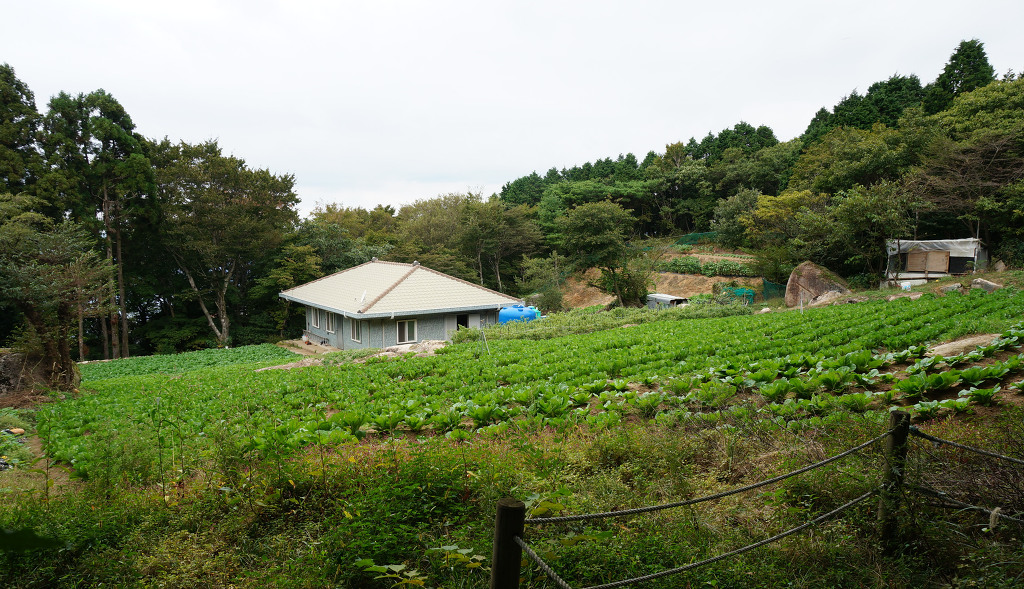 금산2 이미지
