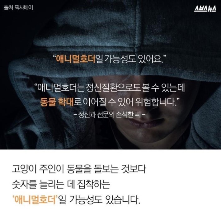버려진 고양이 40마리 | 인스티즈