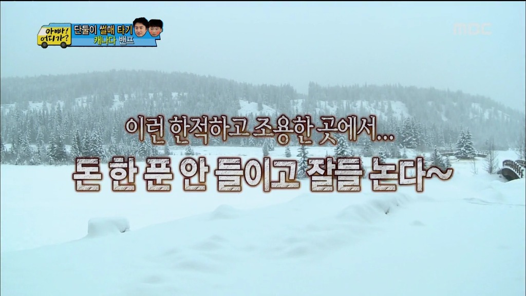 [아빠어디가] 보는사람이 다 행복했던 사랑가득 안정환♡리환 부자의 캐나다 여행 | 인스티즈
