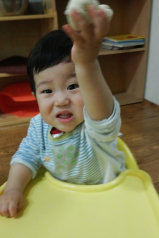 참빛 이미지