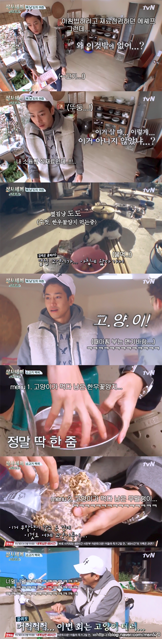 [삼시세끼] 고양이가 남긴거 먹고사는 세끼형제들...jpgㅋㅋㅋㅋㅋ | 인스티즈