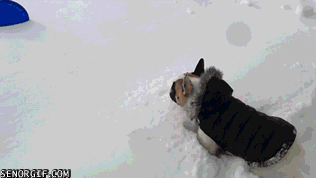 오다 주웠다.gif | 인스티즈