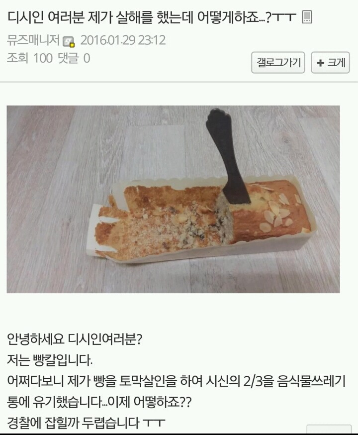 제가 살해를 했는데 어떻게 하죠?(허언증 갤러리) | 인스티즈
