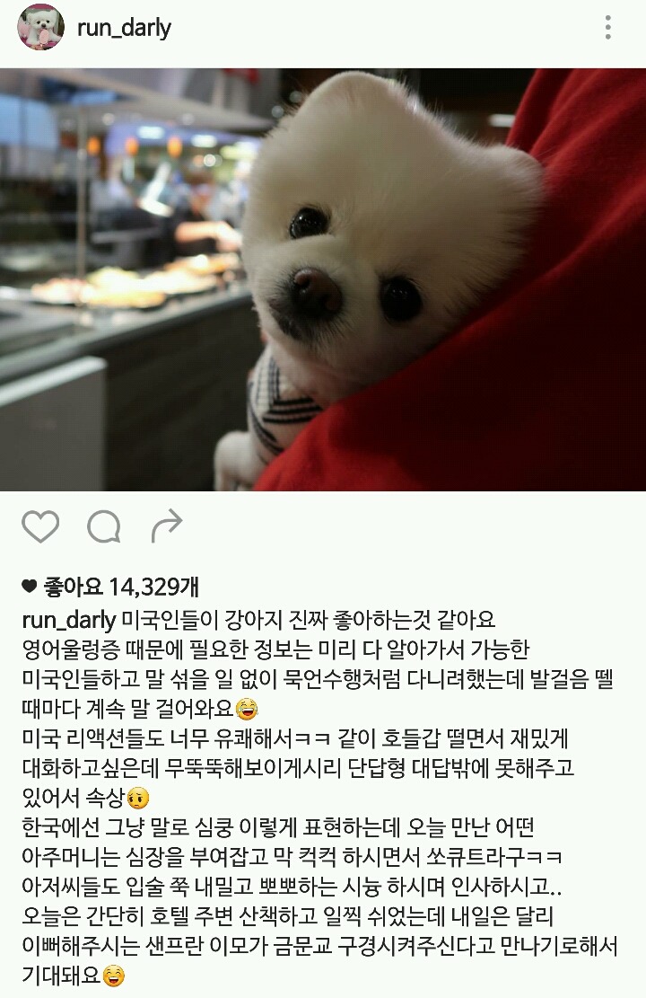 오늘자 달리로 보는, 견주 입장에서의 서양권 부러운 문화 중 하나.jpg | 인스티즈