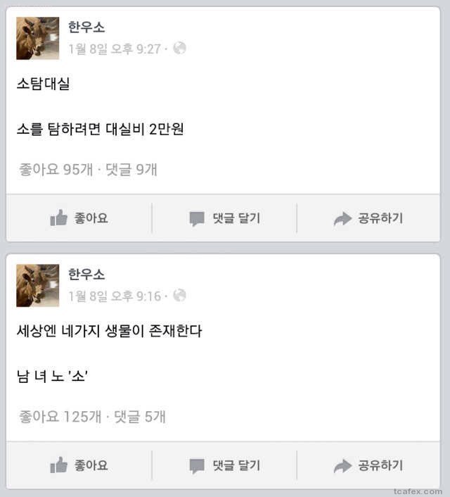 한우소가 페이스북 함 | 인스티즈
