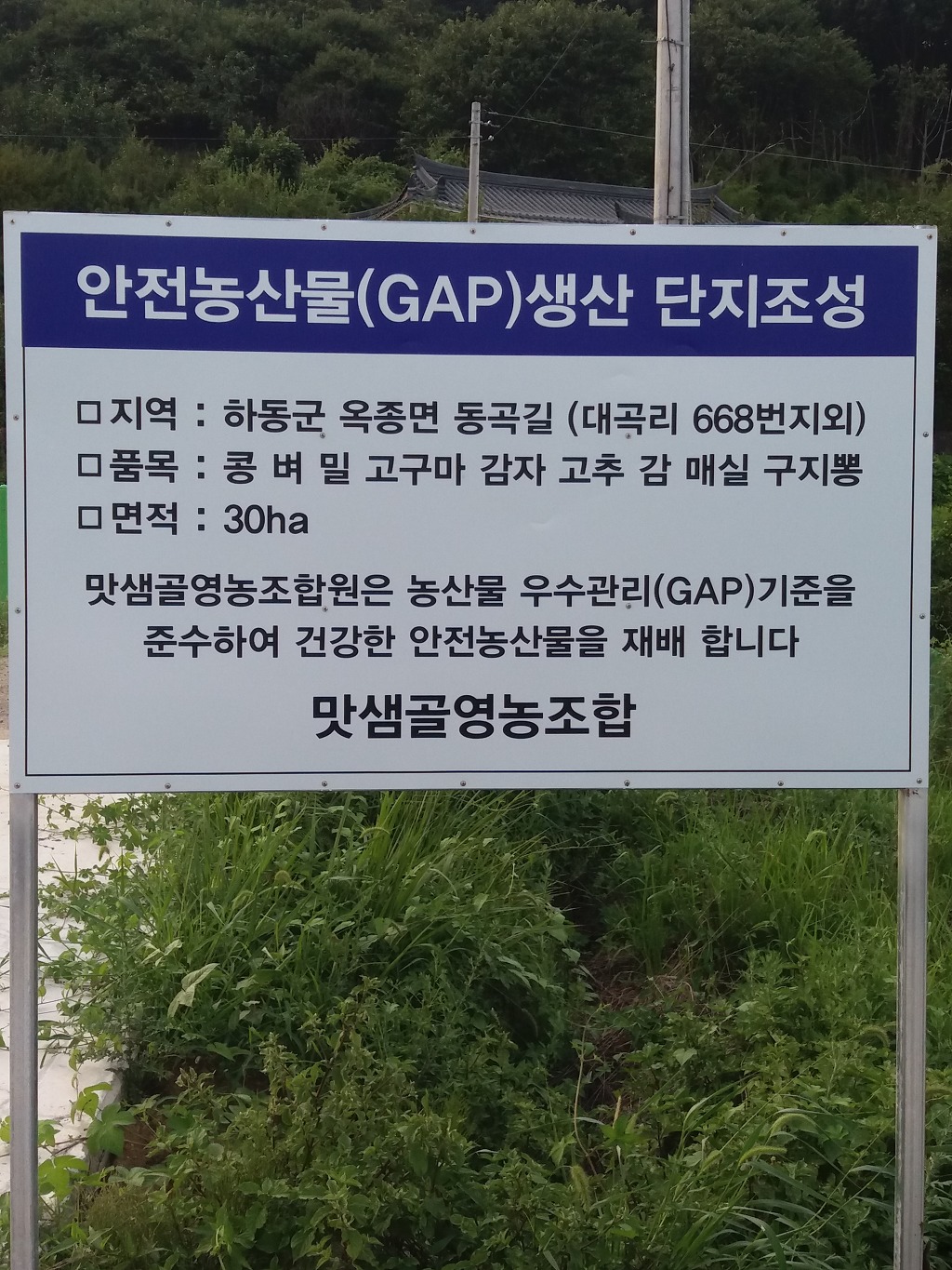 맛샘골 이미지