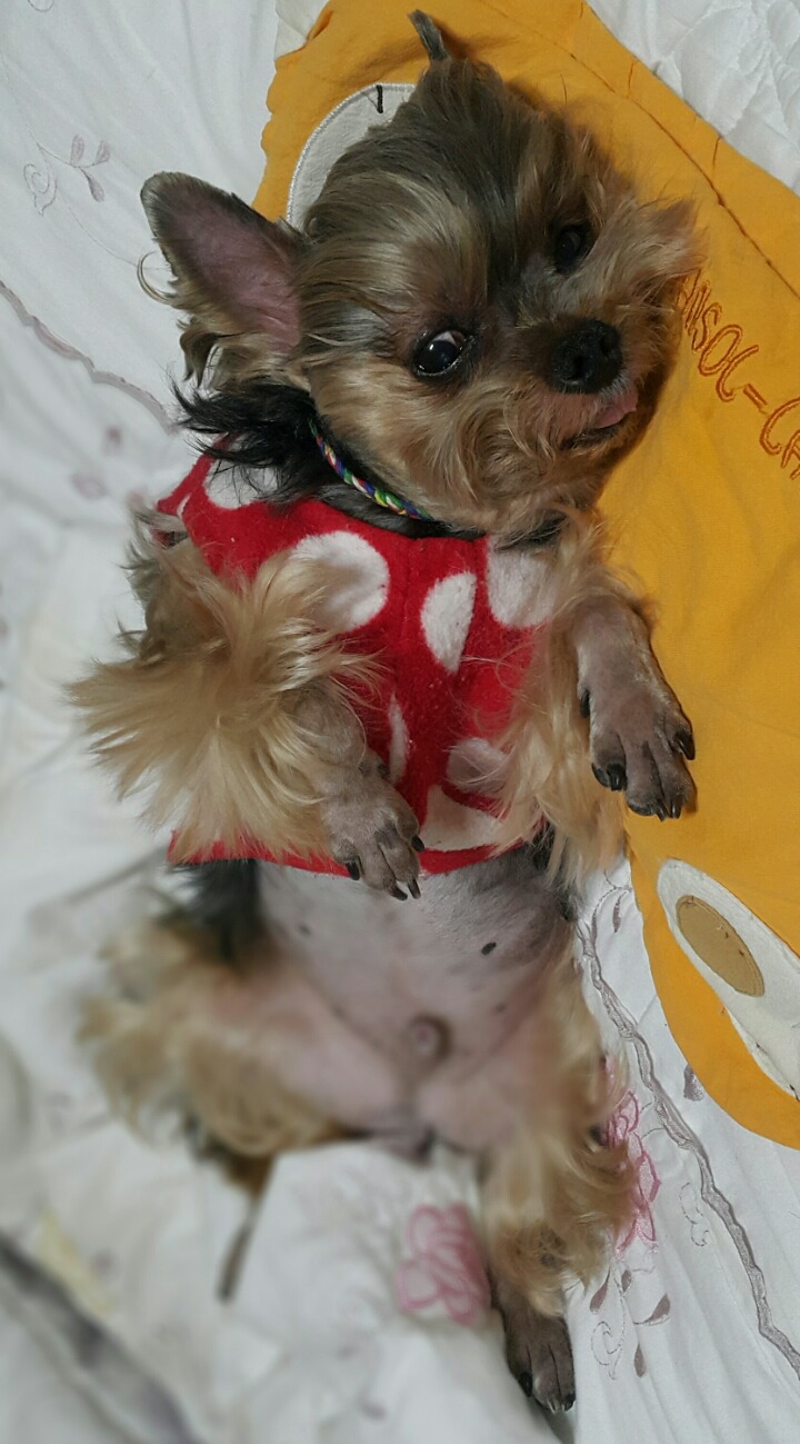 고집불통 이미지