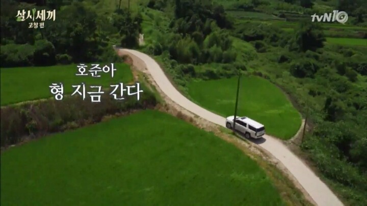 [삼시세끼] 국수사건 해명하는 호주니 | 인스티즈