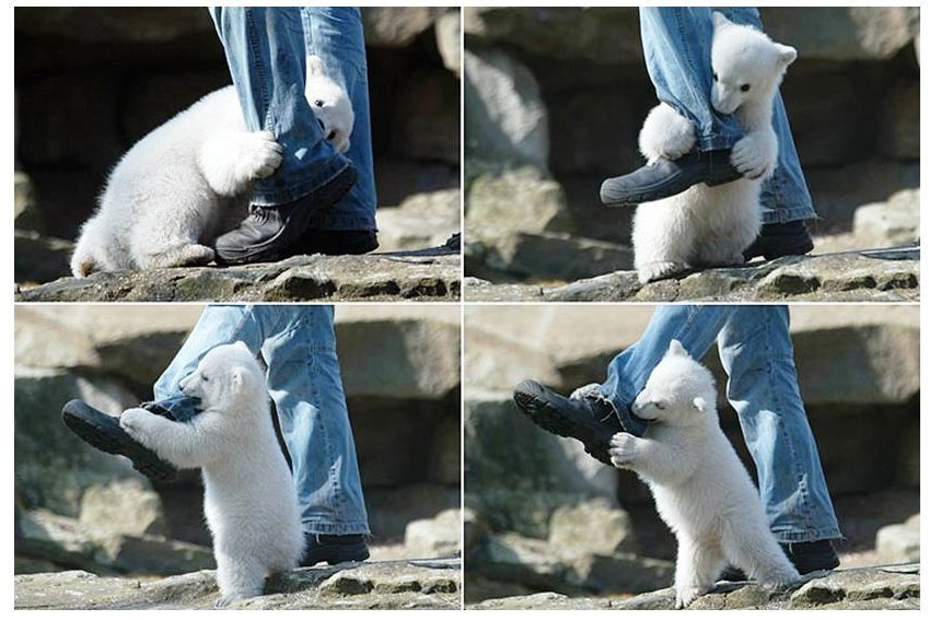 앙 이미지
