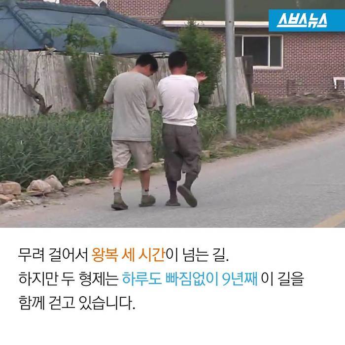  이것은 사이다가 아닙니다 | 인스티즈