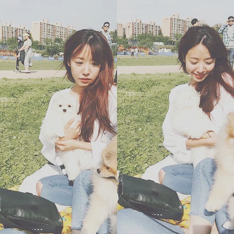 자기전에 보는 에이핑크.jpgif | 인스티즈