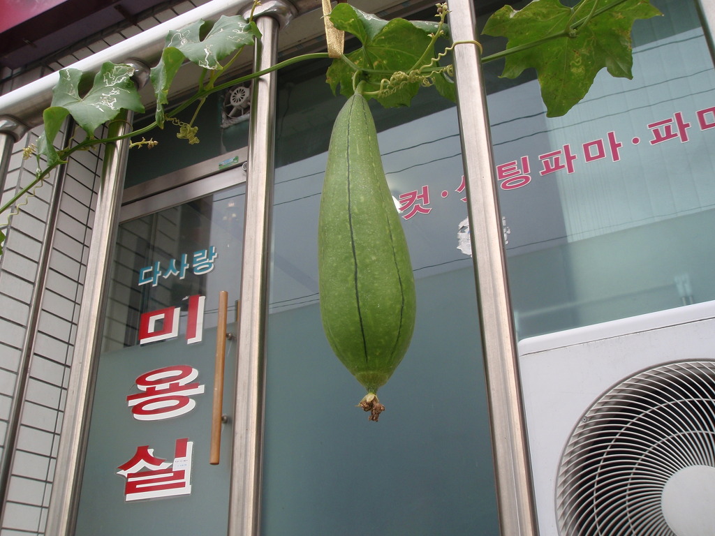 다사랑미용실 이미지