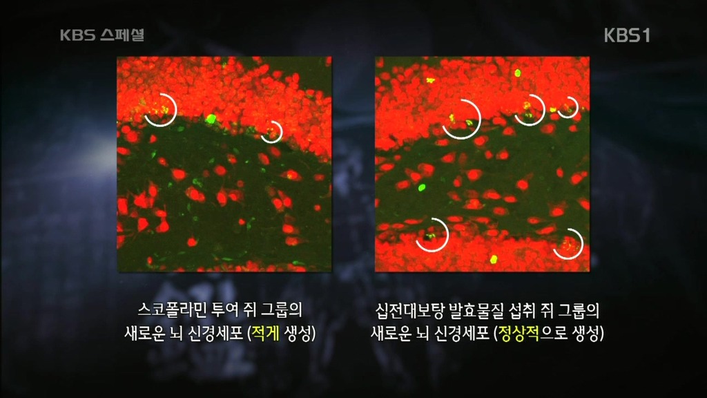 세계가 말하는 한의학과 동의보감 | 인스티즈
