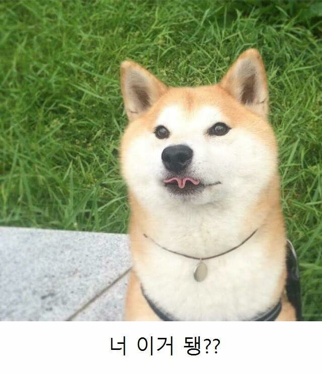 야야 이미지