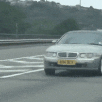 고속도로에서 후진하는 미.gif | 인스티즈